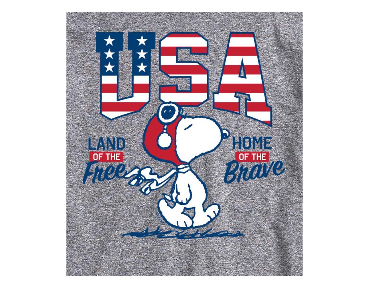 Airwaves Hybrid Apparel Peanuts Usa Mens Short Sleeve Tee In Ath Hthr
