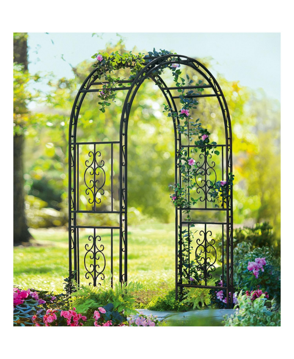 Evergreen Pattern Arbor