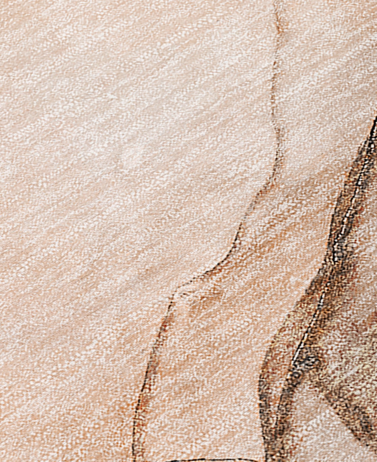 Addison Chantille Machine Washable Acn502 2'6x3'10 Area Rug In Orange