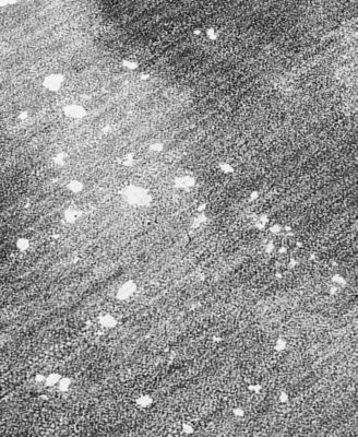 Chantille Machine Washable ACN518 2'3x7'6 Runner Area Rug