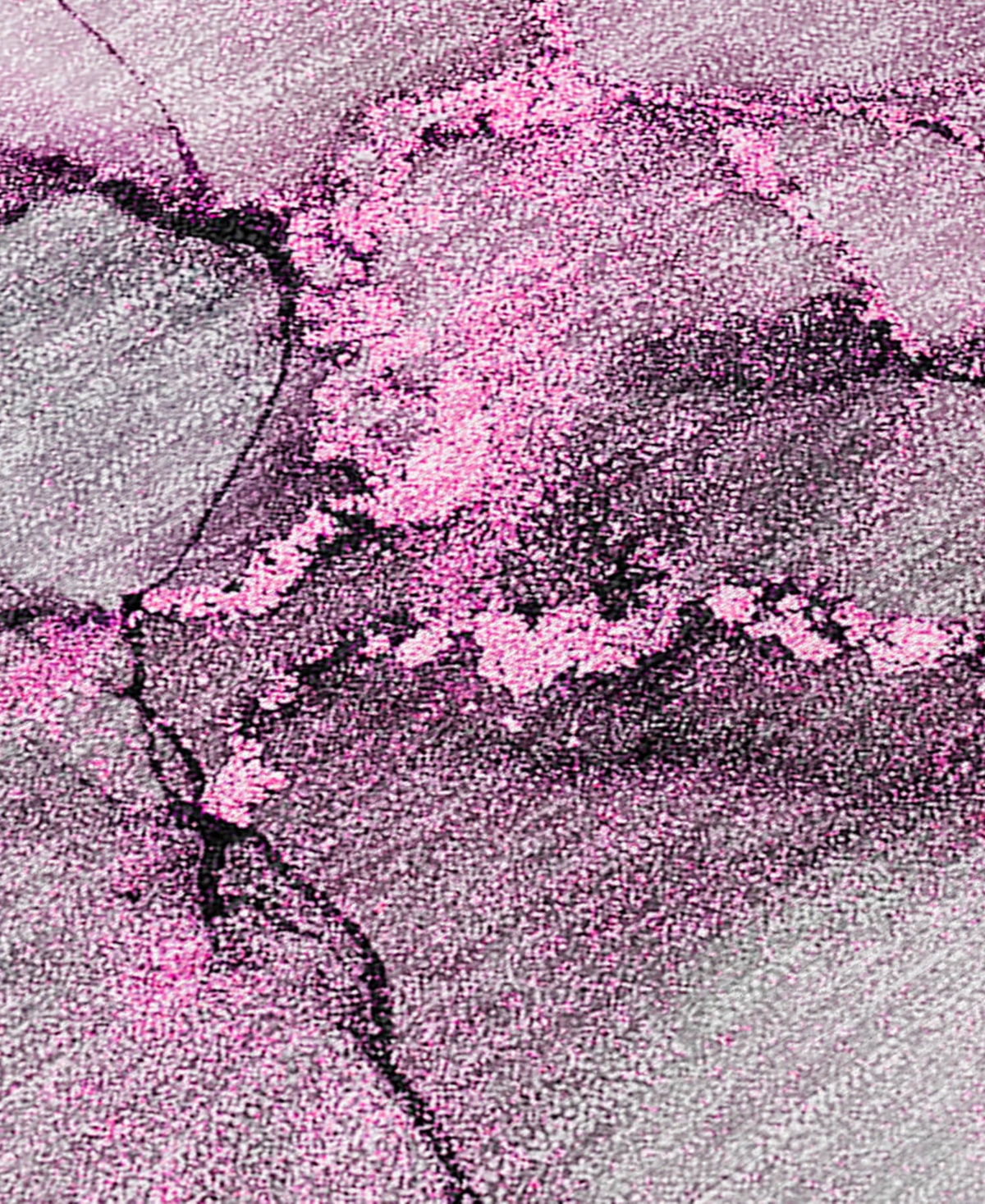 Addison Chantille Machine Washable Acn520 2'6x3'10 Area Rug In Pink