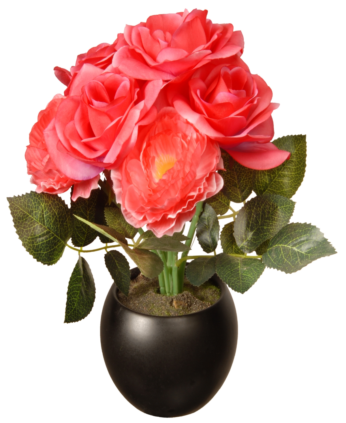 Shop National Tree Company 9 Potted Pink Rose Flowers