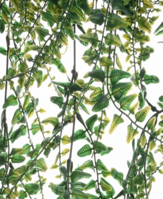 21 Fern Leaves Hanging Basket