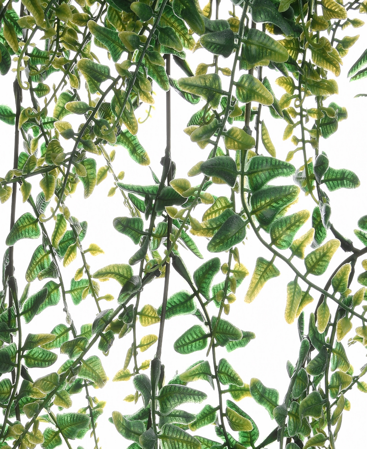 National Tree Company 21 Fern Leaves Hanging Basket