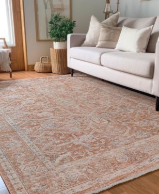 Vienna VI1 2'3x7'10 Runner Area Rug