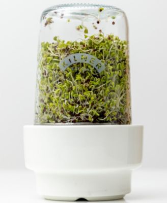 2 Piece Sprouting Set