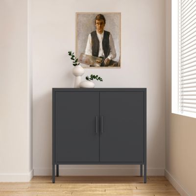 Steel Cabinet with 2 Doors, 2 Shelves, Lockable