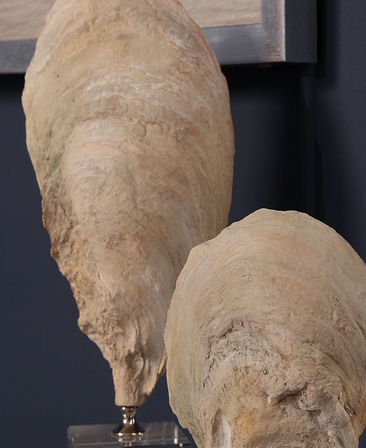 Uttermost Oyster Shell Sculptures, Set Of 2 In White