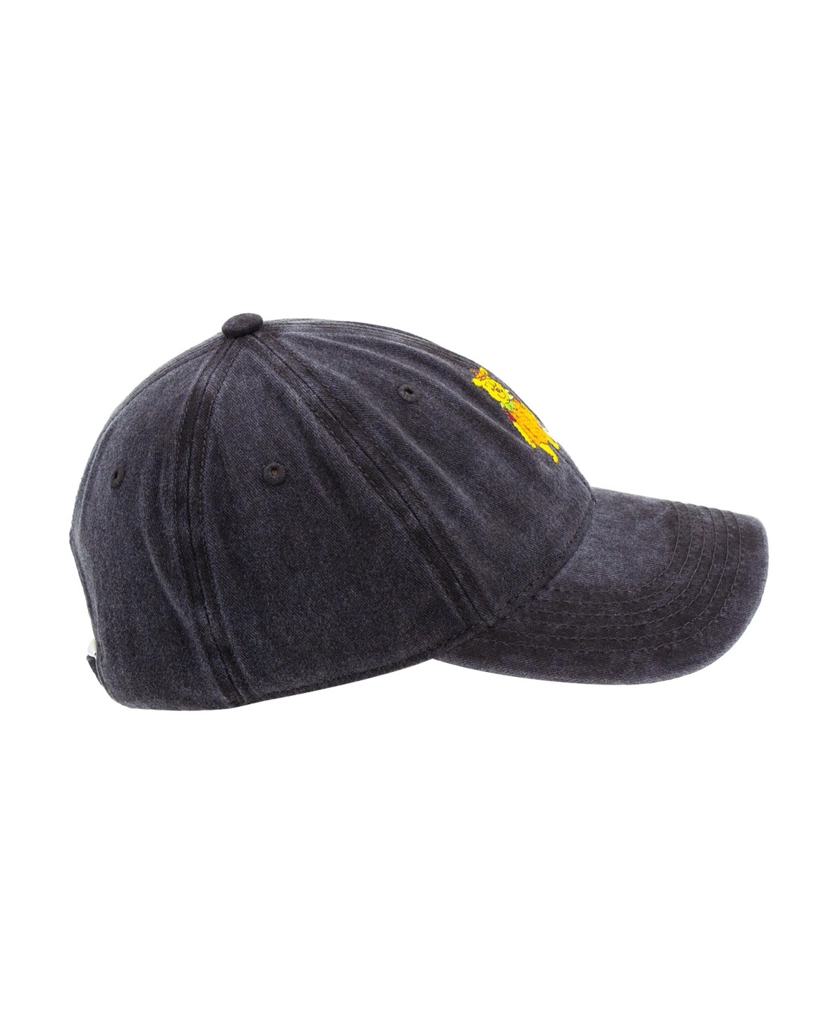 Disney Men's Winnie The Pooh PumpkDad Cap - Black