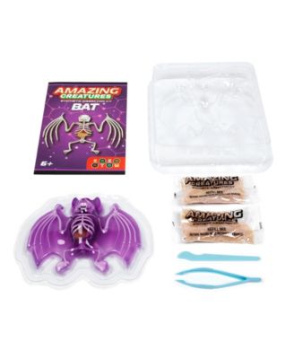 Amazing Creatures Synthetic Dissection Kit - Bat