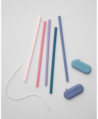 Traveler Straw - 5 piece