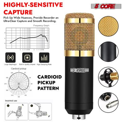 Recording Microphone Podcast Bundle • Professional Condenser Cardioid Mic Kit • w Boom Arm RM 8 BG