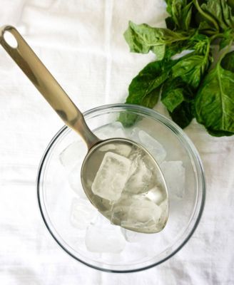 Endurance Stainless Steel Standard Ice Scoop