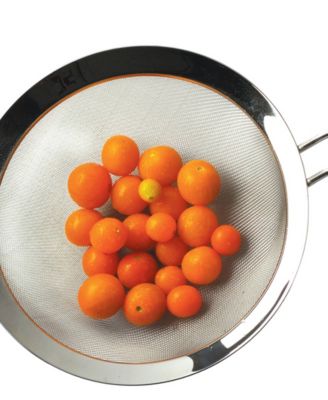 Endurance Stainless Steel 7.75" Mesh Drainer