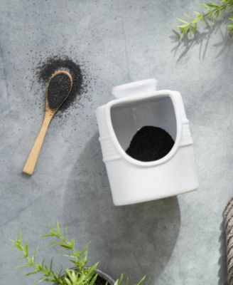 Stoneware 2 Piece 6 Ounce Matte White Salt Pig and Spoon Set