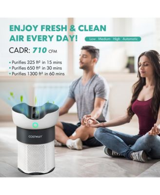 H13 True HEPA Air Purifier with 3-Stage Filtration for Home or Office, Covers Up to 1300 Sq Ft