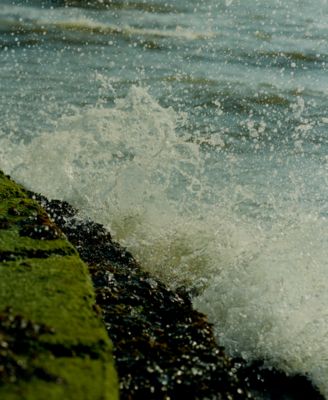 Wood Sage & Sea Salt Diffuser, 5.6 oz.