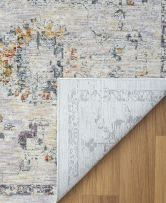 Alexis ALL-470 2'6"x8' Runner Area Rug