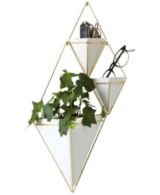 Umbra Trigg Wall Vessel Collection