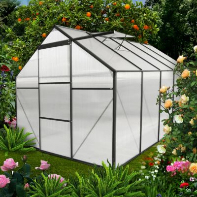 Durable 6x10 Ft Polycarbonate Greenhouse