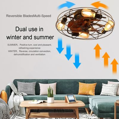 Modern Low Profile Caged Ceiling Fan With Light