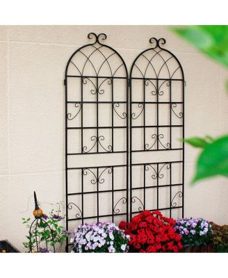 Metal Garden Trellis 71" x 19.7" for Climbing Plants