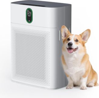 MORENTO HEPA Air Purifier for Home Large Room up to 1076 Sq Ft with PM 2.5 Display Air Quality Sensor - Macy's