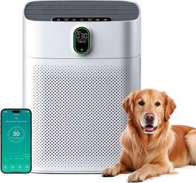 1076 ft² Smart Air Purifier: Wi-Fi/Alexa control, PM2.5 display, HEPA filter. Removes dust, pollen, smoke. Ultra-quiet 24dB