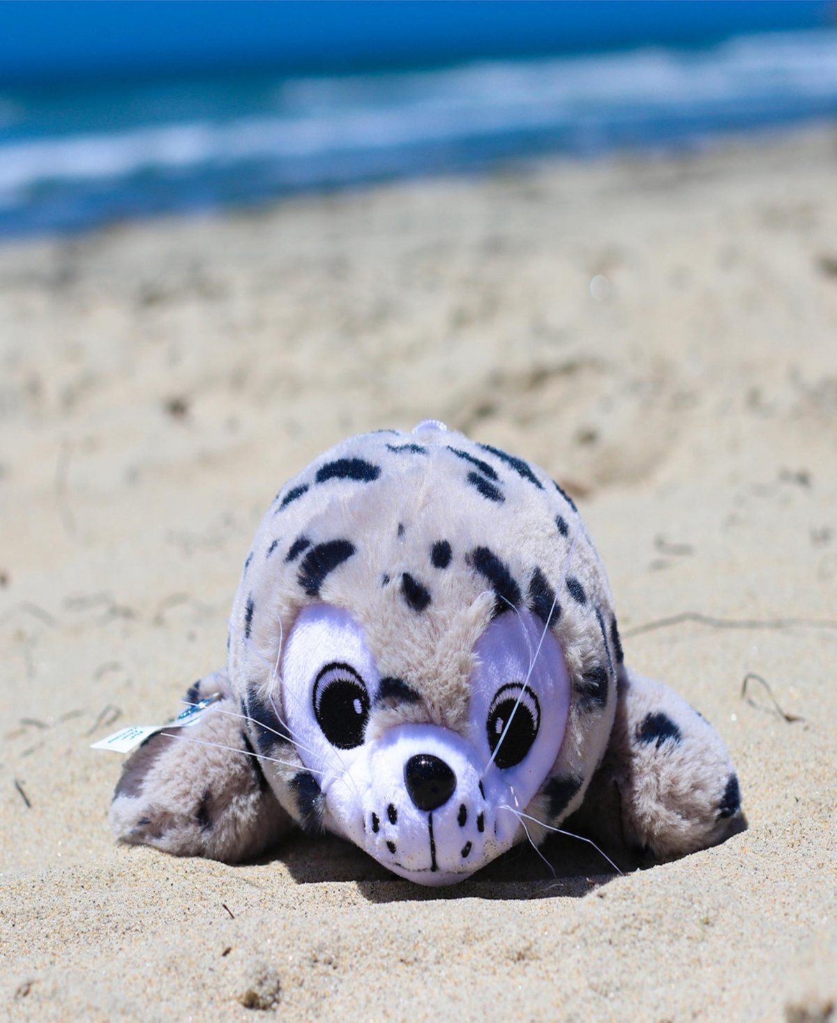 Shore Buddies Sammy The Seal Plush Toy In Multi