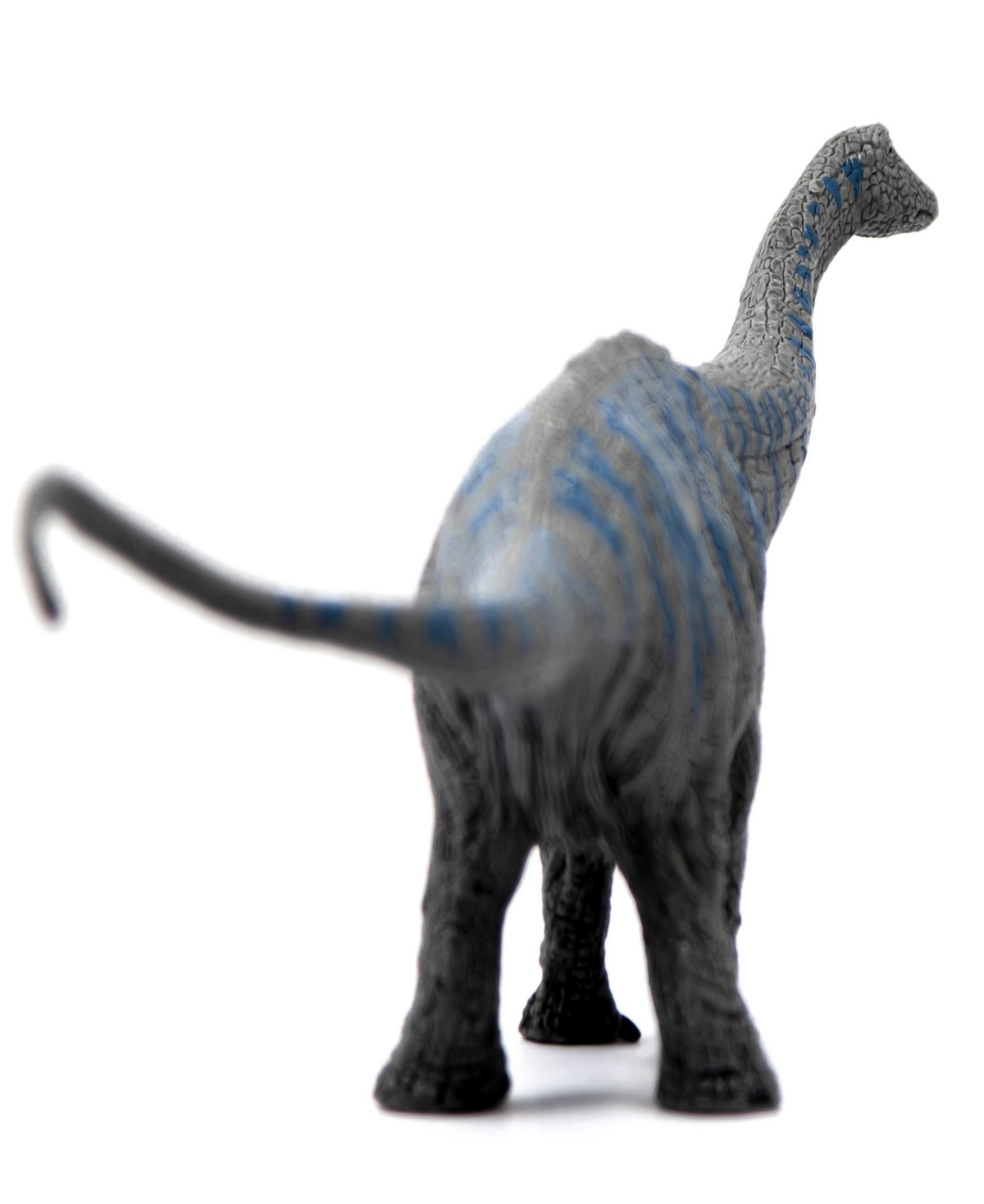 Schleich Dinosaurs Brontosaurus Action Figure In Multi