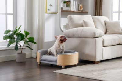 Modern Luxury Dog Bed Premium Pet Furniture with Removable Cushion