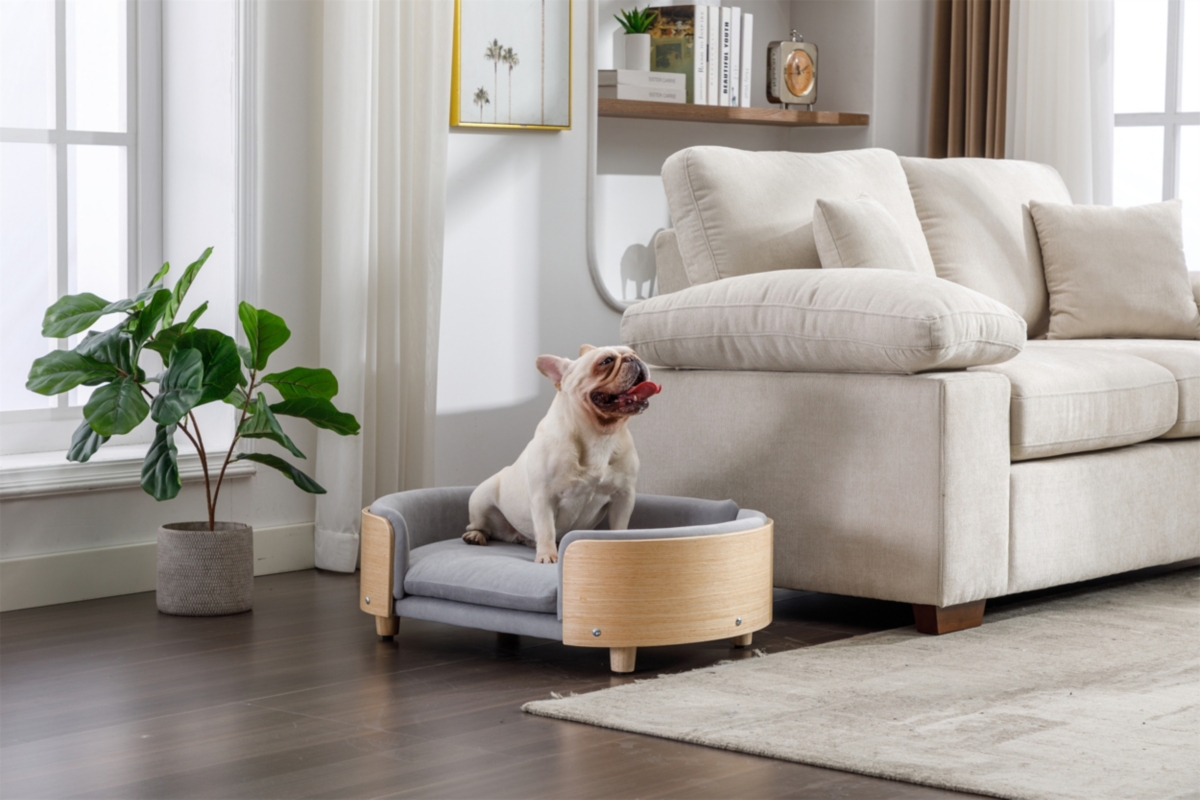 Streamdale Furniture Modern Luxury Dog Bed Premium Pet Furniture with Removable Cushion