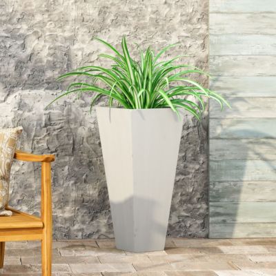 Sleek and Stylish Plant Haven Perfect Home for Your Verdant Beauties