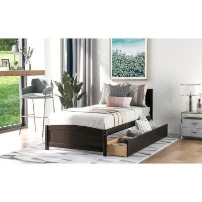 Twin Size Platform Bed With Two Drawers