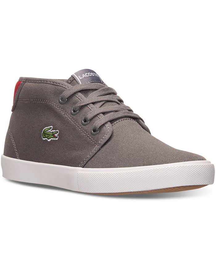 Finish store line lacoste