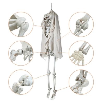 2 Pack 65" Two Headed Skeleton Bone Life Size Posable Prop Halloween Decoration