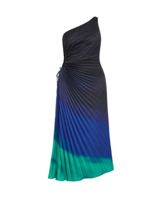 Women's Aliza Print Pleat Maxi Dress