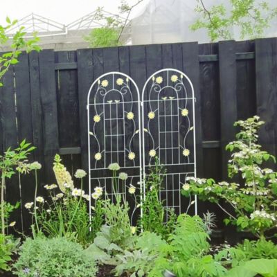 Rustproof Metal Garden Trellis for Climbing Plants