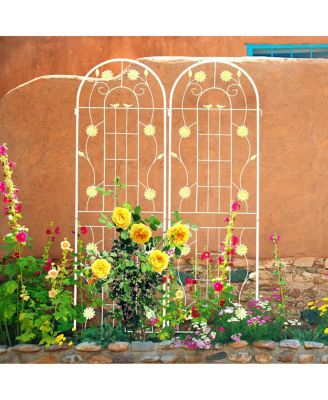 Rustproof Metal Garden Trellis for Climbing Plants