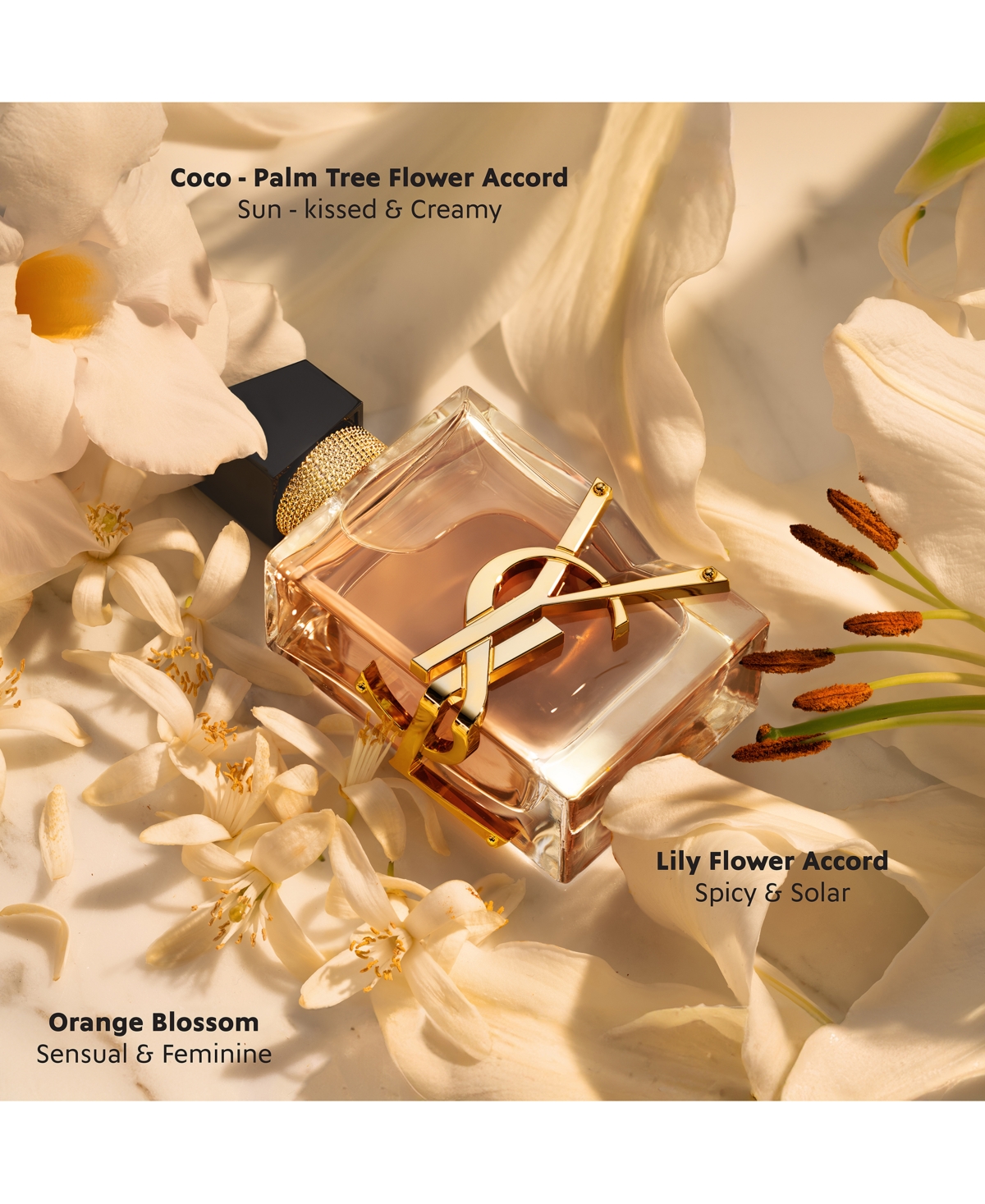 Saint Laurent Libre Flower & Flames Eau De Parfum Florale - 3.0 oz In No Color