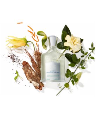 Virgin Island Water, 8.11 oz.