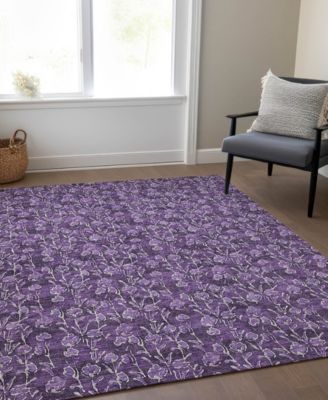 Chantille Machine Washable ACN692 2'6"x3'10" Area Rug