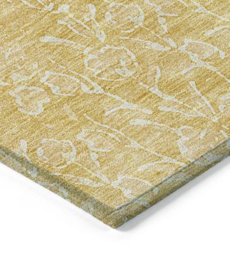 Chantille Machine Washable ACN691 2'6"x3'10" Area Rug