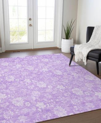 Chantille Machine Washable ACN681 3'x5' Area Rug