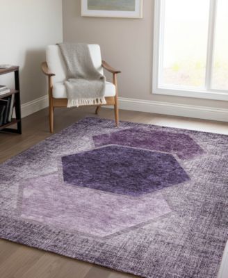 Chantille Machine Washable ACN679 2'6"x3'10" Area Rug