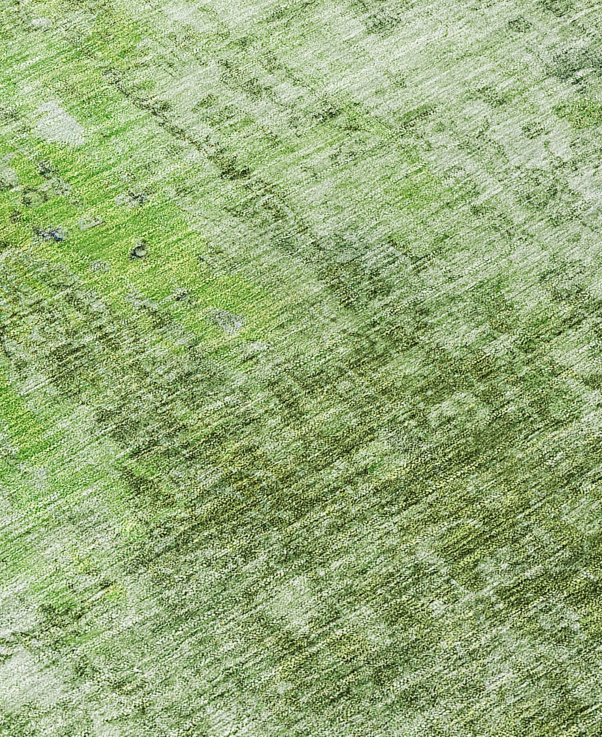 Addison Chantille Acn656 3'x5' Area Rug In Olive