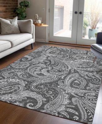 Chantille Machine Washable ACN654 3'x5' Area Rug