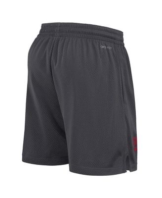 Men's Anthracite Oklahoma Sooners 2024 Sideline Mesh Shorts