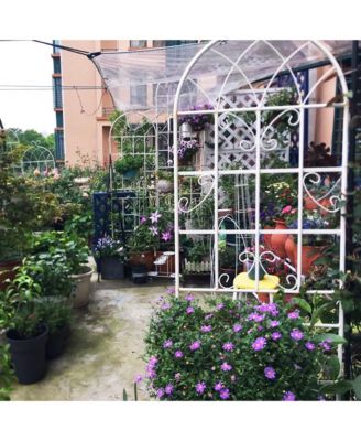 Assembled 4-Pack Plant Trellises for Vine Plants and Climbing Flowers