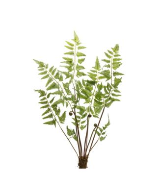 Varigated Fern Bundle With Sprout Accents (Set of 6)
